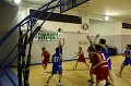 Basket 443093